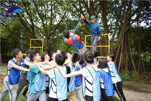企业拓展训练